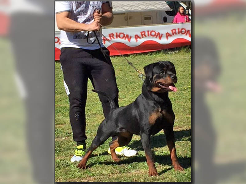 Deisy de Rottsafor