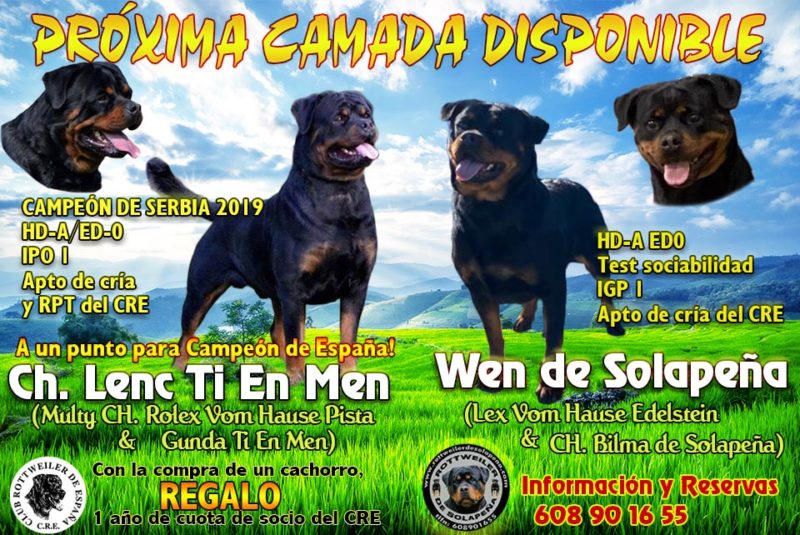Más Información